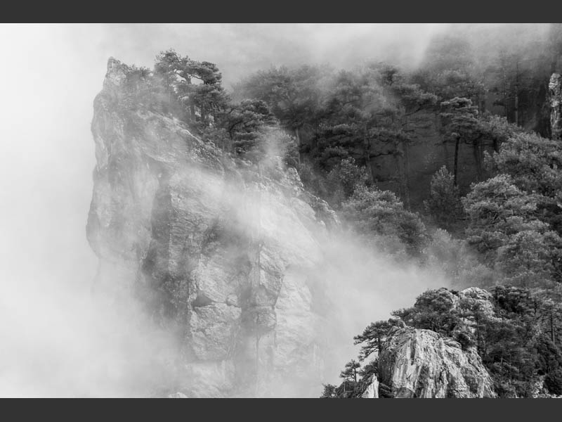 mist